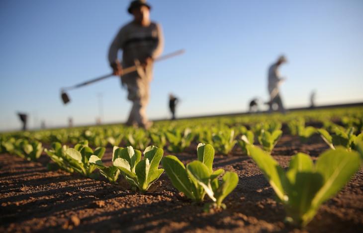 VALAGRO LANCIA “ORTIAMO”, DAI PIÙ PICCOLI PER COLTIVARE LA PASSIONE PER L’AGRICOLTURA