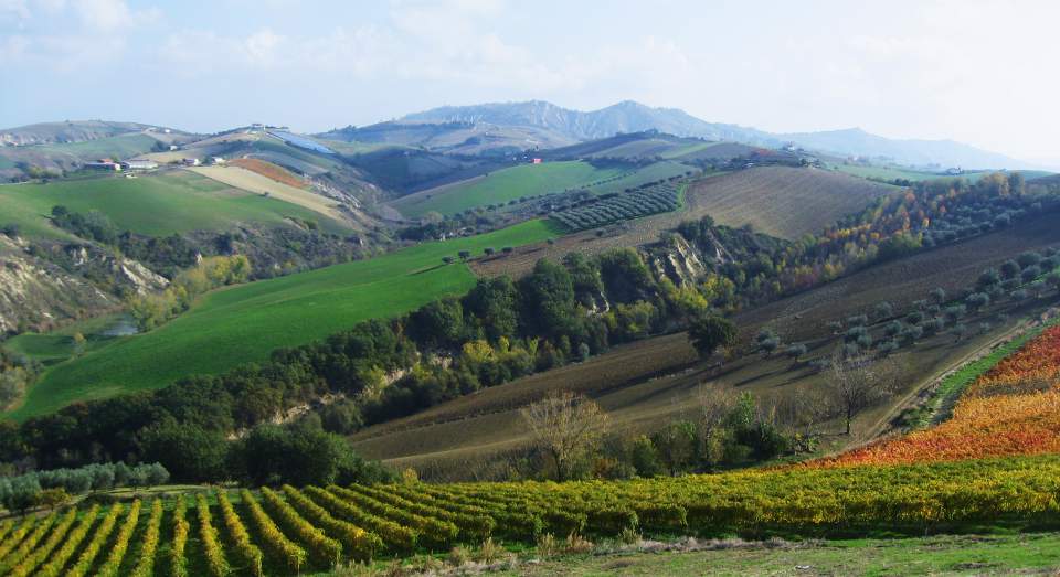 COLDIRETTI, 5 IMPEGNI A COSTO ZERO PRESENTATE AD ATRI AI FUTURI PARLAMENTARI ABRUZZESI