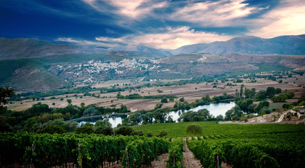 “NO” ALLA CANTINA DI PASETTI A CAPESTRANO IN AREA PARCO NAZIONALE DEL GRAN SASSO