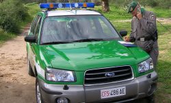 SCARTI DI ROSTICCERIA NEL BOSCO, DENUNCIATI TITOLARI ATTIVITA’ A GISSI
