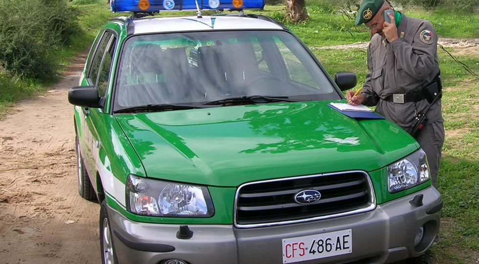 SCARTI DI ROSTICCERIA NEL BOSCO, DENUNCIATI TITOLARI ATTIVITA’ A GISSI