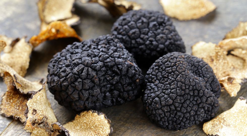 SCOPPITO: ALLA DROGHERIA CENA DEGUSTAZIONE A BASE DI TARTUFO