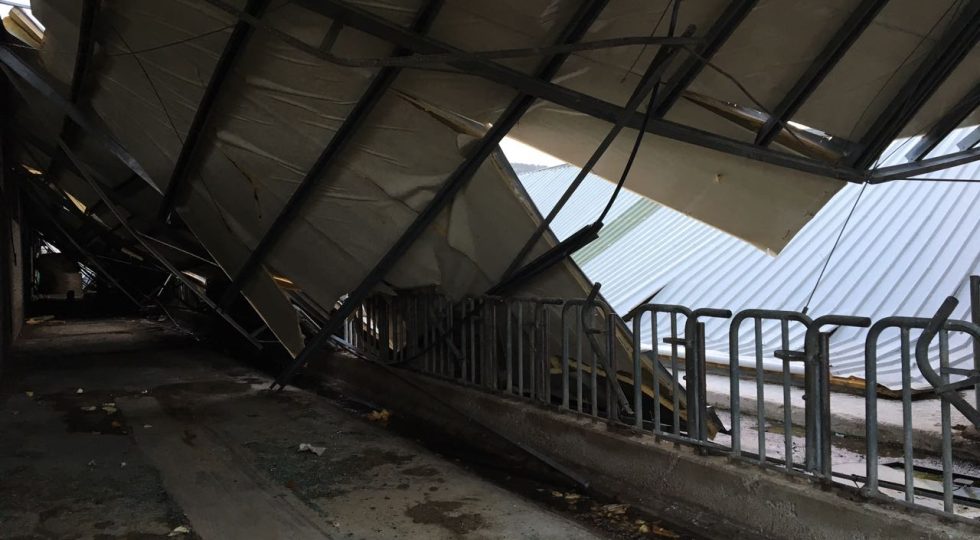 UNA PECORA PER FARINDOLA: GARA DI SOLIDARIETA’ PER AZIENDA DANNEGGIATA DA NEVE E TERREMOTO