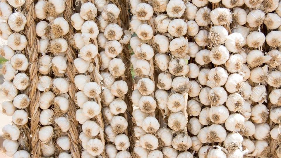 A LEZIONE DI TRECCE DI AGLIO AL MERCATO CONTADINO DELL’AQUILA