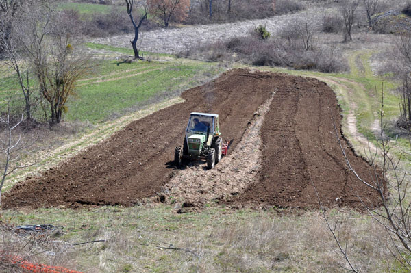 AGRICOLTURA: DA REGIONI ITALIANE 46 MILIONI PER L’ABRUZZO COLPITO DA CALAMITÀ