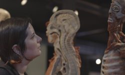 CINEMA: FILM DI ALLIEVI AQUILANI DEL CENTRO SPERIMENTALE DELL’AQUILA FINALISTA AGLI OSCAR