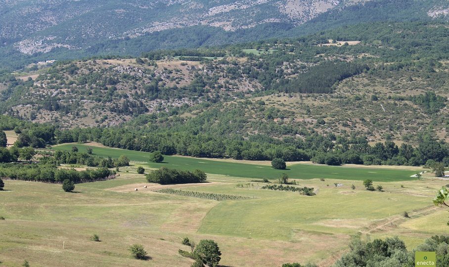 CANAPA PER USO TERAPEUTICO, IN VALLE SUBEQUANA IL PRIMO RACCOLTO