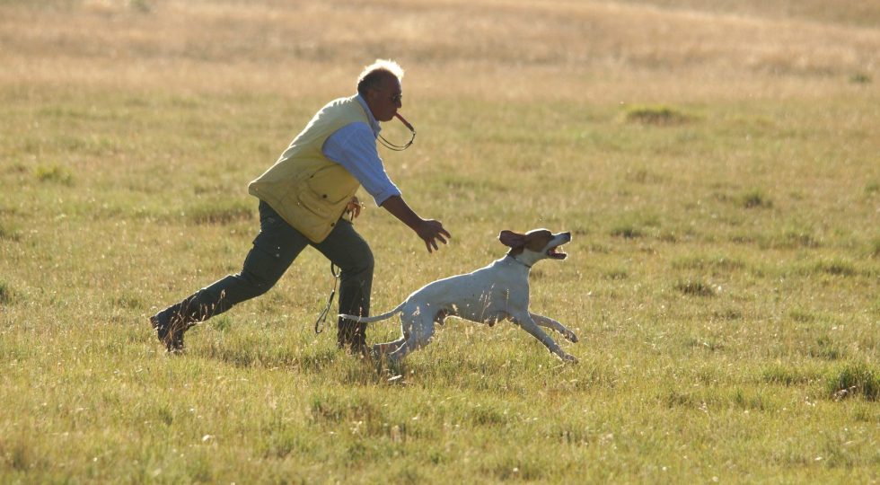 CINOFILIA VENATORIA ITALIANA IN FESTA A CAMPO FELICE