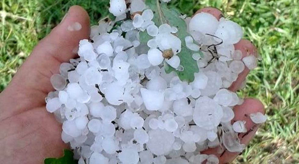 CAMPAGNE ABRUZZESI DEVASTATE DA GRANDINE E ACQUA, DISTRUTTI I RACCOLTI