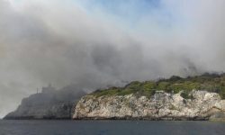 INCENDIO ALLE TREMITI, DECIMATA MACCHIA MEDITERRANEA SULL’ISOLA DI SAN DOMINO