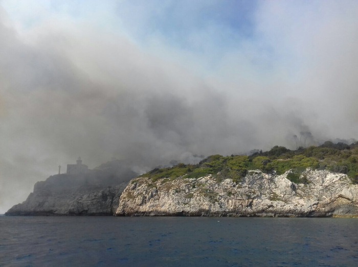INCENDIO ALLE TREMITI, DECIMATA MACCHIA MEDITERRANEA SULL’ISOLA DI SAN DOMINO