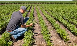INNOVAZIONE IN AGRICOLTURA, A CHIETI GLI OSCAR GREEN DI COLDIRETTI