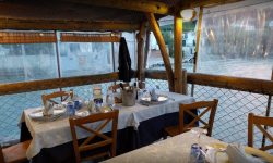 FISH&BEER: AL TRABOCCO PESCE PALOMBO TORNA L’APPUNTAMENTO ANNUALE DELL’AIS