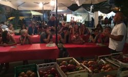 ROSSO MA NON TROPPO: A FRANCAVILLA SI CELEBRA IL POMODORO A PERA D’ABRUZZO