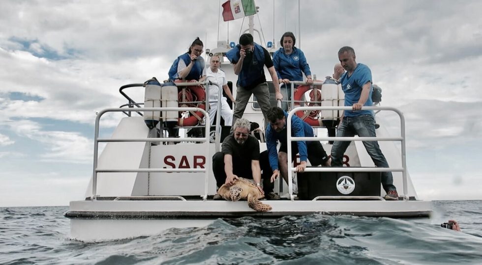 ESCURSIONE CON RILASCIO IN MARE DI TARTARUGA ALLA RISERVA DEL BORSACCHIO