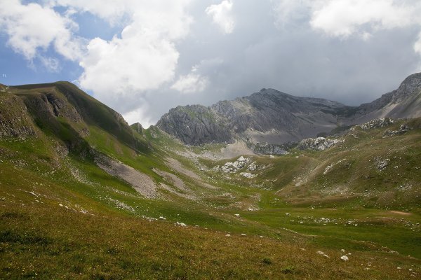 OVINI CONTAGIATI DA MALATTIA INFETTIVA ALLA VAL CHIARINO