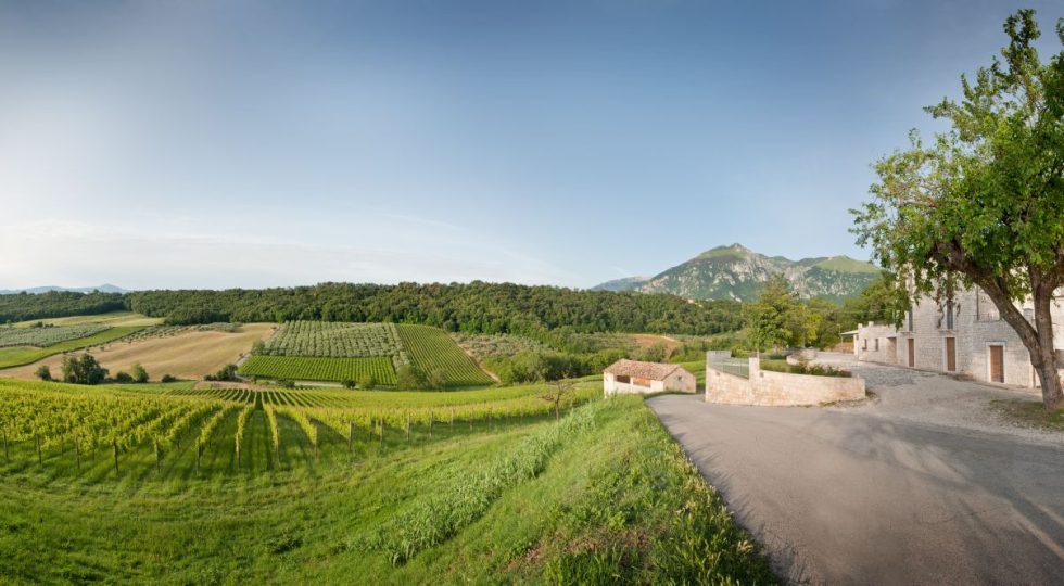 ARRIVA SCIATÒ, IL PRIMO MONTEPULCIANO DELLA MAIELLA PRODOTTO DA TOMMASO MASCIANTONIO