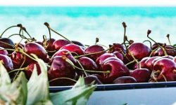 COLDIRETTI: CON CALDO +3% CONSUMO ORTOFRUTTA, A VASTO RIAPRE MERCATO ESTIVO