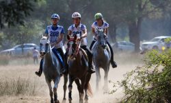 BORGHINSELLA, TRA TORNIMPARTE E SCOPPITO TAPPA DEL CAMPIONATO ENDURANCE