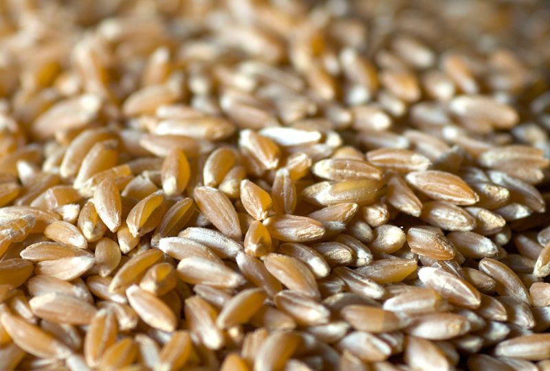 AD ABBATEGGIO LA SAGRA DEL FARRO DAL 10 AL 12 AGOSTO