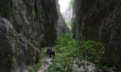 TEATRO: ALLE GOLE DI CELANO I RACCONTI DEL BOSCO, E ARTE SCIENZA E NATURA SI FONDONO