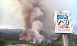 INCENDI: COLDIRETTI, 15 ANNI PER RICOSTRUIRE BOSCHI ABRUZZESI