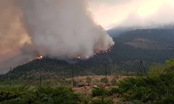 INCENDI: CONFAGRICOLTURA, SOLO SELVICOLTURA PUÒ SALVARE BOSCHI MA REGIONE NON INVESTE