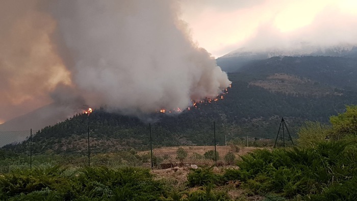 INCENDI: CONFAGRICOLTURA, SOLO SELVICOLTURA PUÒ SALVARE BOSCHI MA REGIONE NON INVESTE