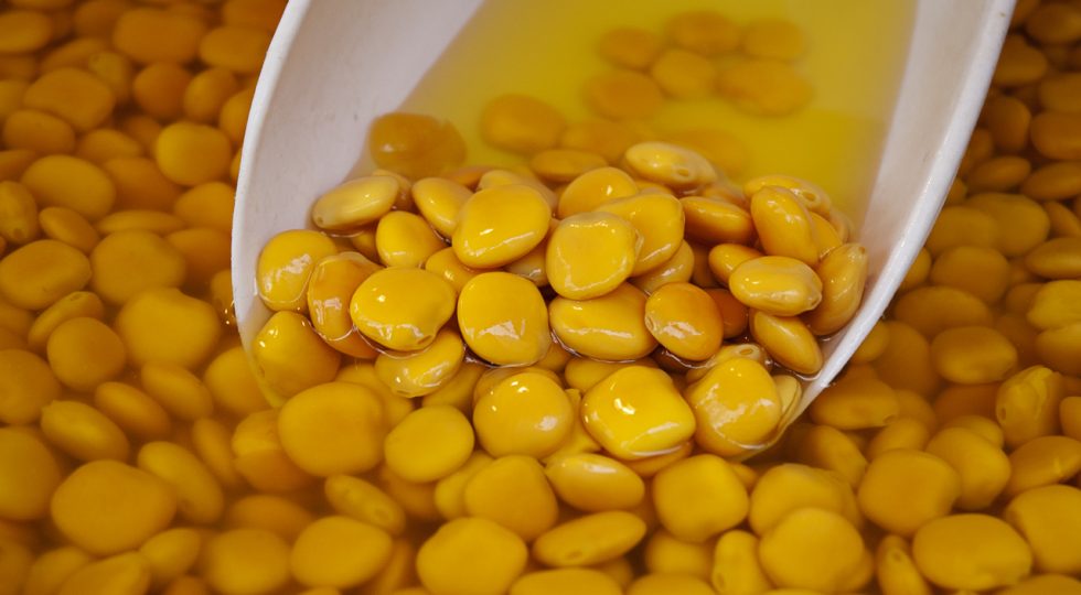 LUPINI ANTI DIABETE, SECONDO RICERCA MEGLIO DI FARMACI