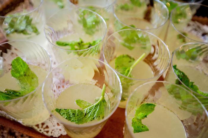 MOJITO SULLA SPIAGGIA NIDO DI BATTERI, C’È ANCHE ESCHERICHIA COLI