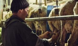 SLOW FOOD, AGLI STATI GENERALI DELLE COMUNITÀ DELL’APPENNINO IDEE PER IL CENTRO ITALIA