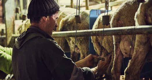SLOW FOOD, AGLI STATI GENERALI DELLE COMUNITÀ DELL’APPENNINO IDEE PER IL CENTRO ITALIA