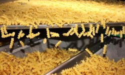 MENSE PESCARA: GRANO ESTERO NELLA PASTA, COLDIRETTI ABRUZZO CHIEDE DI FARE CHIAREZZA