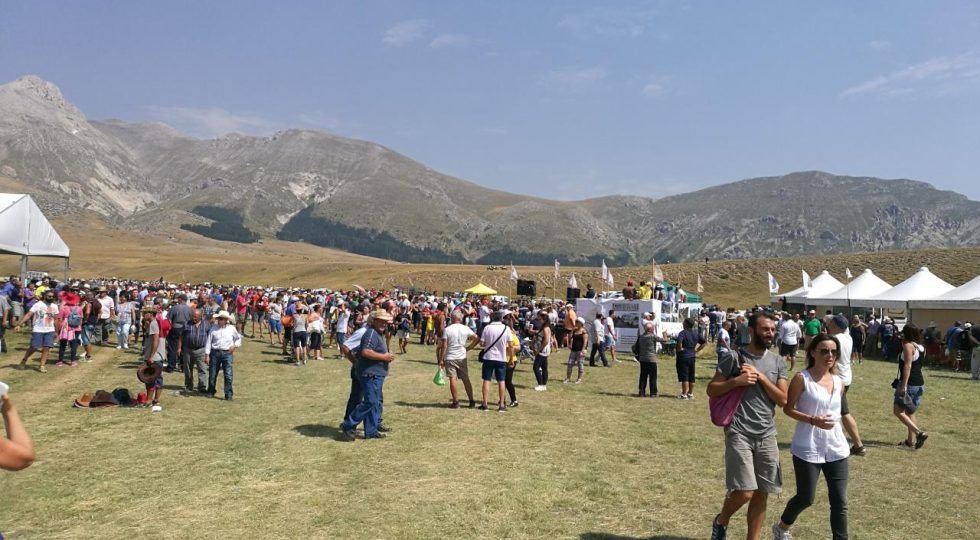 “NIENTE RASSEGNA OVINI? I PALADINI DELLE AREE INTERNE BATTANO UN COLPO!”