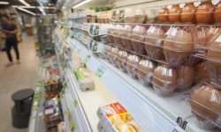 SEQUESTRATE 92MILA UOVA CONTAMINATE E 27MILA GALLINE IN ITALIA
