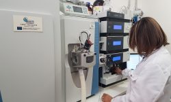 ALLARME UOVA CONTAMINATE: ESAMI ALLO ZOOPROFILATTICO DI TERAMO