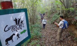 L’ABRUZZO VUOLE PUNTARE SUI CAMMINI PER RILANCIARE IL TURISMO