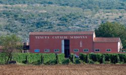VINO: ANTINORI DIFFIDA CATALDI, “PIÈ DELLE VIGNE SI CONFONDE CON PIAN DELLE VIGNE”