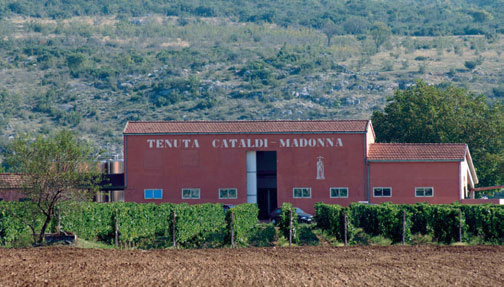 VINO: ANTINORI DIFFIDA CATALDI, “PIÈ DELLE VIGNE SI CONFONDE CON PIAN DELLE VIGNE”