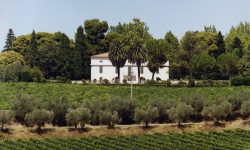 È MORTO ORLANDI CONTUCCI, CERIMONIERE DI SARAGAT E FONDATORE DI CASAL THAULERO