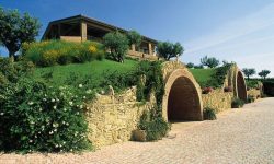 CANTINE D’ITALIA DI GO WINE: TRE ABRUZZESI HANNO IL “BOLLINO” PER IL VALORE ENOTURISTICO