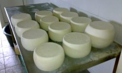PATTO FRA CONSORZI FORMAGGI DOP SARDI PER I MERCATI INTERNAZIONALI