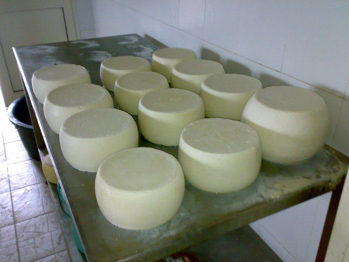 PATTO FRA CONSORZI FORMAGGI DOP SARDI PER I MERCATI INTERNAZIONALI
