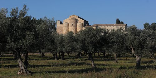 IN ABRUZZO CAMMINATA TRA GLI OLIVI FRA BORGHI, ABBAZIE E FRANTOI