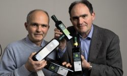 INTOSSO FORCELLA: UN OLIO POTENTE E FINE COME IL PAESAGGIO CHE LO ESPRIME