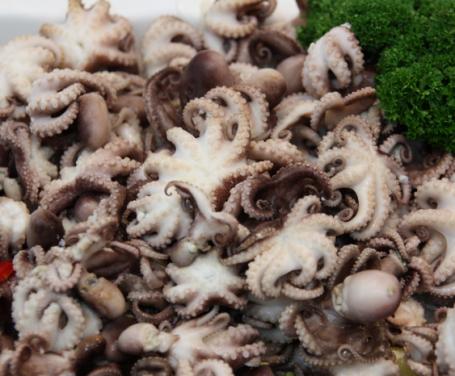 “LU PULENTÒ CU LU FURBI DE LE VILLE GNA” AL PIACERE DEL CIBO DI ALBA ADRIATICA