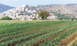 LA RIGENERAZIONE DEI BORGHI DELLA PIANA DI NAVELLI IN STUDIO POLITECNICO DI BARI
