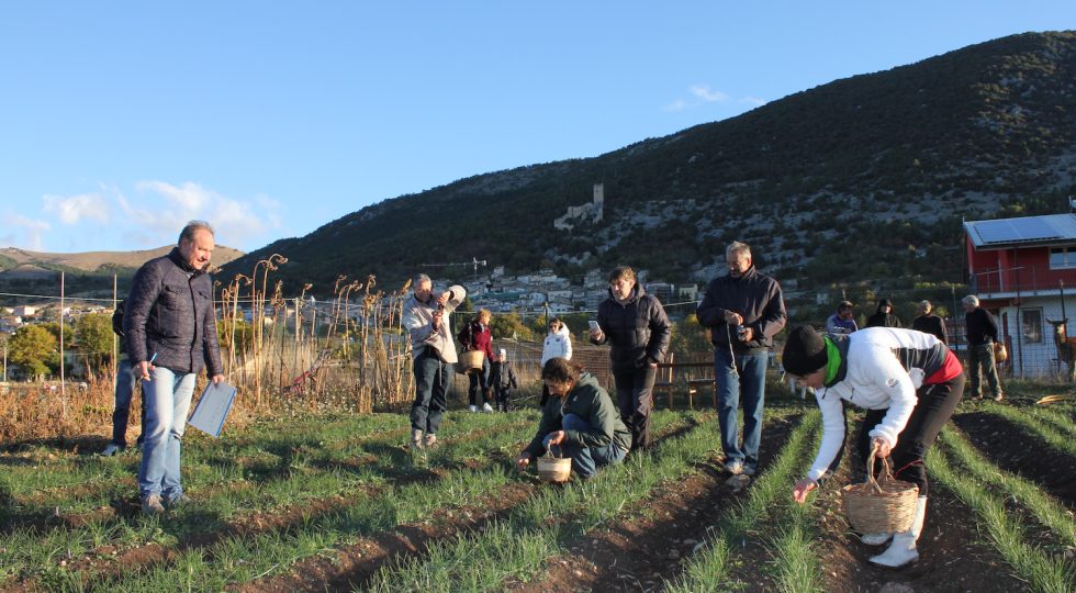 ZAFFERANO, “RACCOGLI CONOSCI E DEGUSTA” CELEBRA L’ORO ROSSO CON DUE GIORNI DI DEGUSTAZIONI ED ESPLORAZIONI
