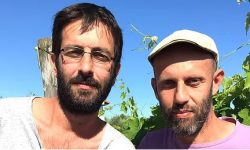 IL MONTEPULCIANO D’ABRUZZO BIOLOGICO DI RASICCI NAVIGA VERSO IL GIAPPONE