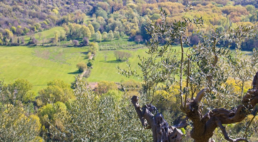 CAMMINANDO NEL VENTRE DELLE UCCOLE FINO AI VIGNETI DI PIETRANTONJ